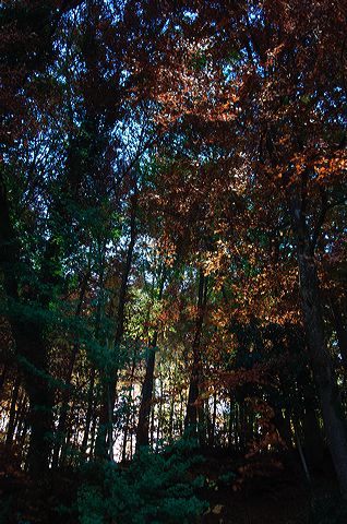 dsc_2155.jpg